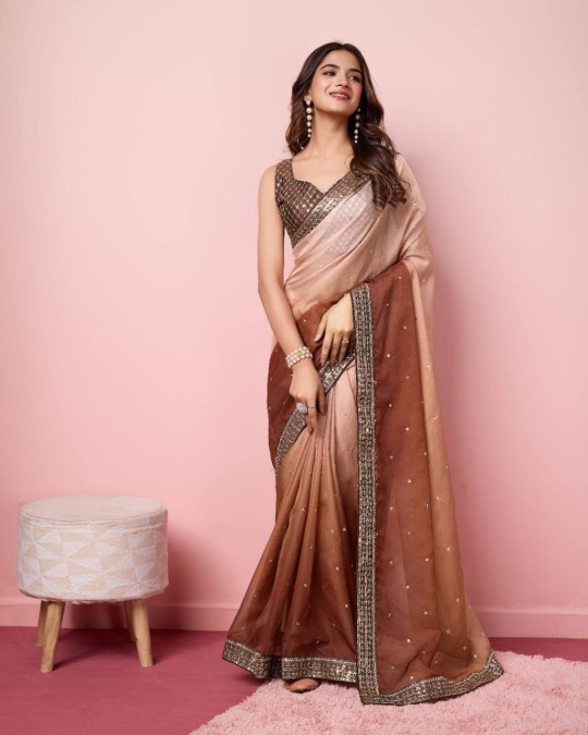 Organza Padding Embroidery Work Saree